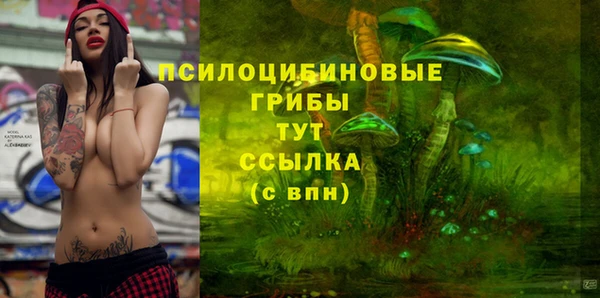 не бодяженный Богородицк